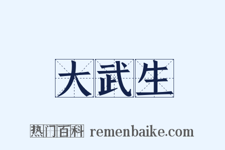 大武生是什么意思的图片